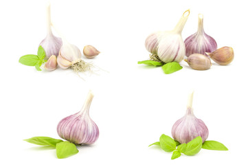 Set of Garlic clove isolated on a white background cutout