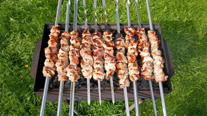 Meat roasted on fire barbecue kebabs on the grill isolated on green grass