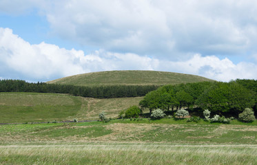 Obraz premium green hill