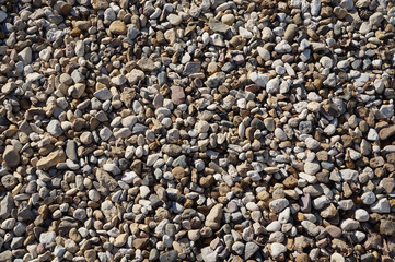 Multicolored gravel. High-resolution texture or background