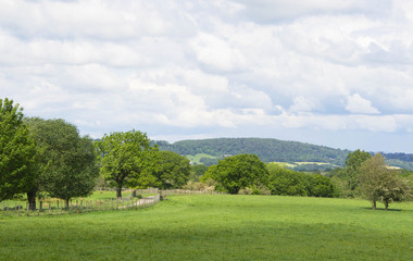 landscape fields