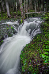 waterfall in forest