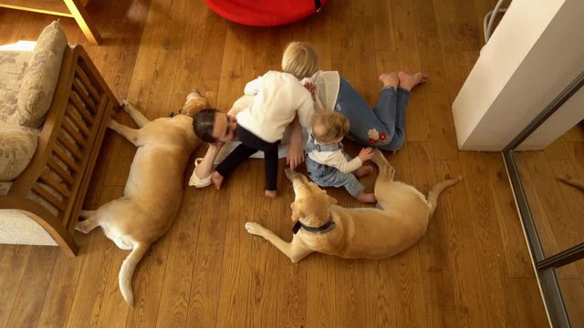 Babysitter woman with two boys and dogs pets on floor. Handheld shot