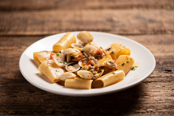 Paccheri pasta with clams on white plate