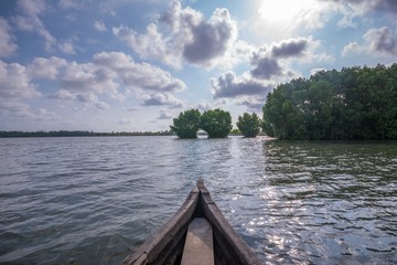 Fototapeta na wymiar Canoe riding towards Mangrove forest in Munroe Island