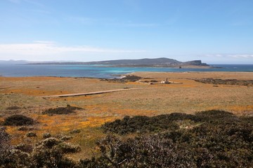 Asinara