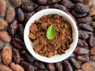 Cocoa powder in a small bowl, roasted cocoa beans around, top view.