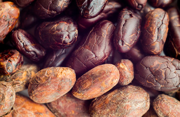 Cocoa beans with and without skin. Macro, top view.