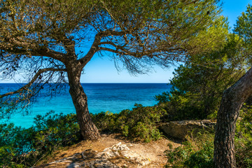 Fototapeta na wymiar Sommer Ferien Mallorca Spanien Landschaft mit Meerblick 