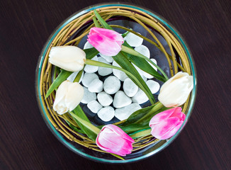 Obraz na płótnie Canvas Tulips, twigs and stones in a glass bowl on a walnut wood background. Spring decoration concept. Top view.