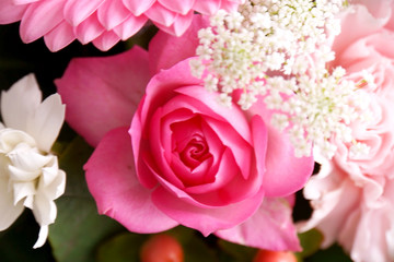 Obraz na płótnie Canvas ピンクの花