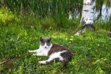 Fototapety na wymiar - Fototapeta24.pl