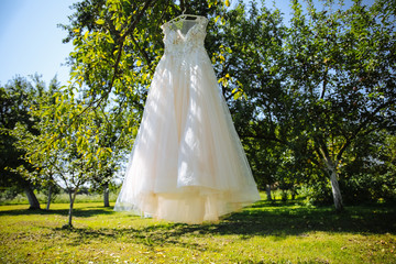 Beautiful bridal lace dress is hanging on the green tree. Stylish clothes for wedding ceremony outdoors.