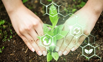 Planting tree agriculture organic human hand plant compost