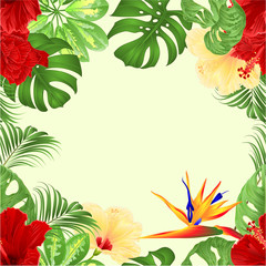 Fototapeta na wymiar Seamless border bouquet with tropical flowers floral arrangement with Strelitzia and red and yellow hibiscus palm,philodendron and Schefflera and Monstera vintage vector illustration editable