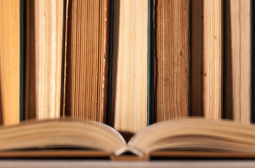 Set of old book with opened sheets