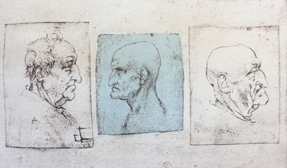 Caricatures of different people by Leonardo Da Vinci in the vintage book Disegni di Leonardo by L. Beltrami, Milan, 1904