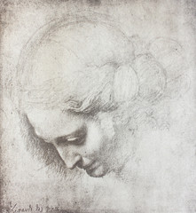 The head of the woman by Leonardo Da Vinci in the vintage book Disegni di Leonardo by L. Beltrami, Milan, 1904