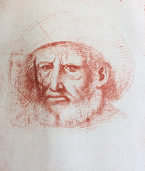 The Head of old man with beard by Leonardo Da Vinci in the vintage book Disegni di Leonardo by L. Beltrami, Milan, 1904