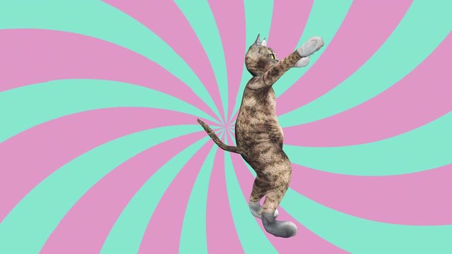 Comic tomcat waving paws and tail in an energetic clip summer mood. A cute brown pussycat dancing alone in a modern style in tunnel colour space. Cool and the best moves in stylish of the 80s and 90s
