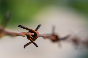 Close up of rust barbed wire with blurred background
