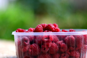 Freshly picked raspberries in a plastic packaging, in a garden. Selective focus, green background.