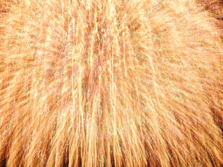 花火が手振れしてアートになる