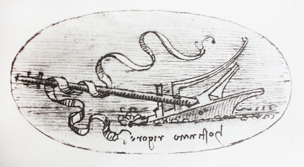 The sketch in the vintage book Leonardo Da Vinci by M. Sumtsov, Kharkov, 1907