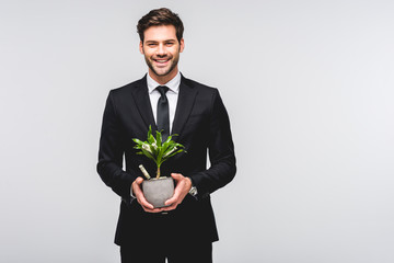 handsome businessman in suit holding flowerpot with money isolated on grey