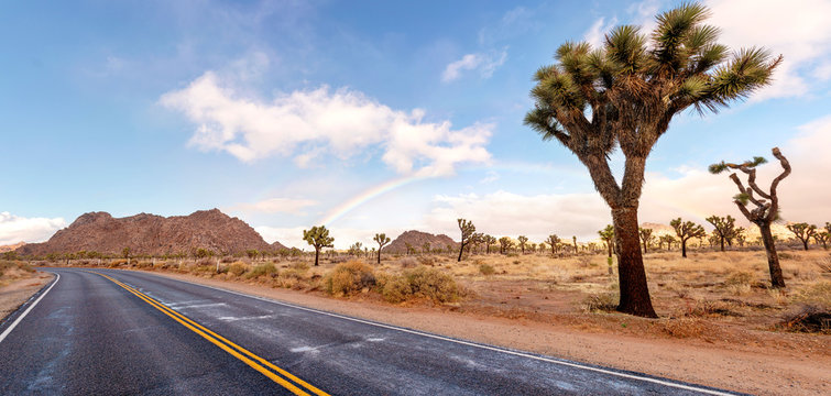 Dessert road with Joshua trees and fantastic landscape around. California, USA.