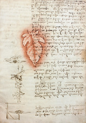 The red leaf and manuscripts in the vintage book Manuscripts of Leonardo da Vinci, Codex on the Flight of Birds by T. Sabachnikoff, Paris, 1893 © wowinside