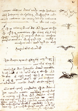 Codex Bilder Durchsuchen 6,421 Archivfotos, und Videos