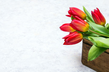 Tulip flower in wooden box on white  background, copy space. A beautiful spring bouquet of red flowers