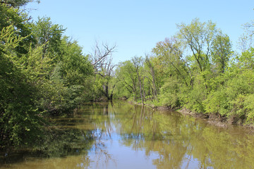 Fototapeta na wymiar Muddy North Branch of the Chicago River at Blue Star Memorial Woods in Glenview