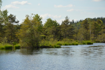 Moorlandschaft mit See in Bayern