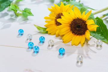 夏イメージ ひまわりの花