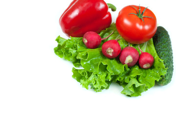 Fresh colorful organic vegetables captured from above (top view, flat lay) isolated on a white background. Layout with free (copy) space. Healthy food conception. Ingredients for salad
