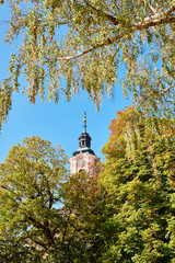 Church tower Basilica Birnau between deciduous trees