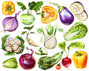 Photo sur Aluminium brossé Des légumes Ensemble de légumes frais dessinés à la main. Aquarelle dessinant des aliments sains. Image de poivron, oignon, aubergine et chou-fleur, chou de Pékin, chou-rave et autres légumes.