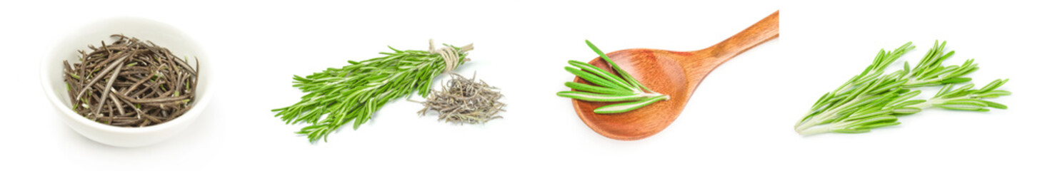 Set of rosemarie isolated on white