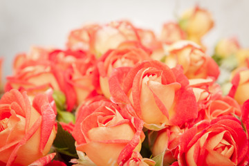 Large beautiful bouquet of orange roses in the package