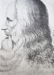 The portrait of Leonardo Da Vinci in the vintage book Leonardo Da Vinci by M. Sumtsov, Kharkov, 1900