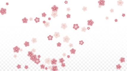 Vector Realistic Pink Flowers Falling on Transparent Background.  Spring Romantic Flowers Illustration. Flying Petals. Sakura Spa Design. Blossom Confetti. Design Elements for Wedding Decoration.