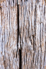 Fototapeta premium Old wood for the background or old gray wood surface Antique or furniture surface Corroded surfaces over time Wood more than a hundred years old Old wooden background closer.