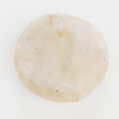 Realistic 3D Render of Macadamia Nut
