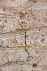 texture rough brown gray surface of an old cement wall with cracks, patterns and divorces