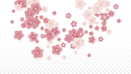 Vector Realistic Pink Flowers Falling on Transparent Background.  Spring Romantic Flowers Illustration. Flying Petals. Sakura Spa Design. Blossom Confetti. Design Elements for Wedding Decoration.