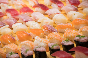 サーモンを中心とした色とりどりのお寿司