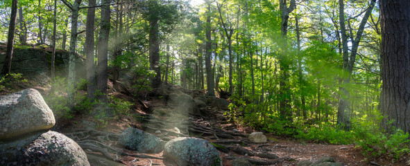 A hiking trail at Purgatory Chasm State Reservation in Sutton Massachusetts