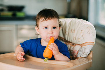 Little girl child in a high chair eating a carrot in the afternoon in the kitchen